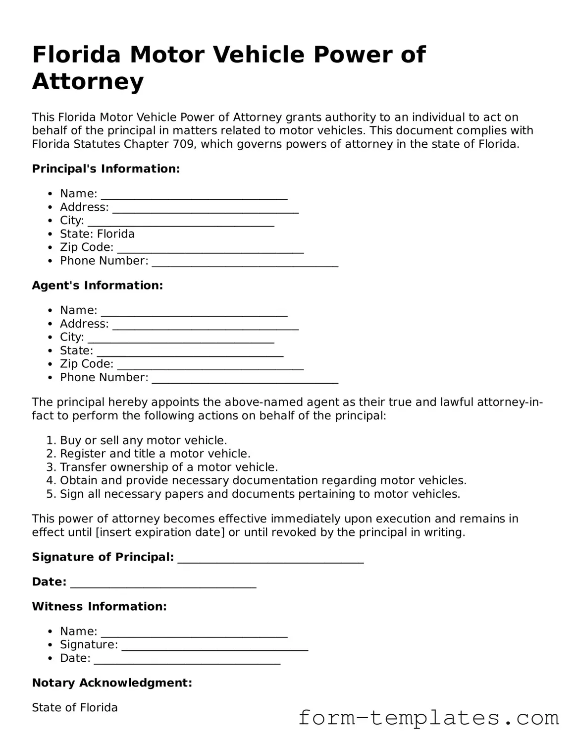 Printable Motor Vehicle Power of Attorney Form for the State of Florida