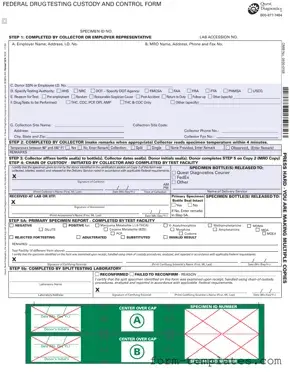 Fill Out a Valid Drug Screen Template