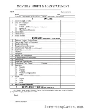 Fill Out a Valid Profit And Loss Template