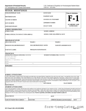 Fill Out a Valid I 20 Template