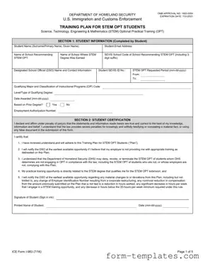 Fill Out a Valid ICE I-983 Template