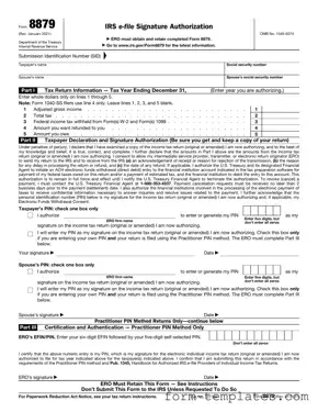 Fill Out a Valid IRS 8879 Template