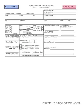 Fill Out a Valid Rabies Certificate Template