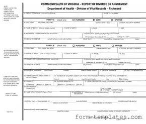 Fill Out a Valid Vs 4 Template
